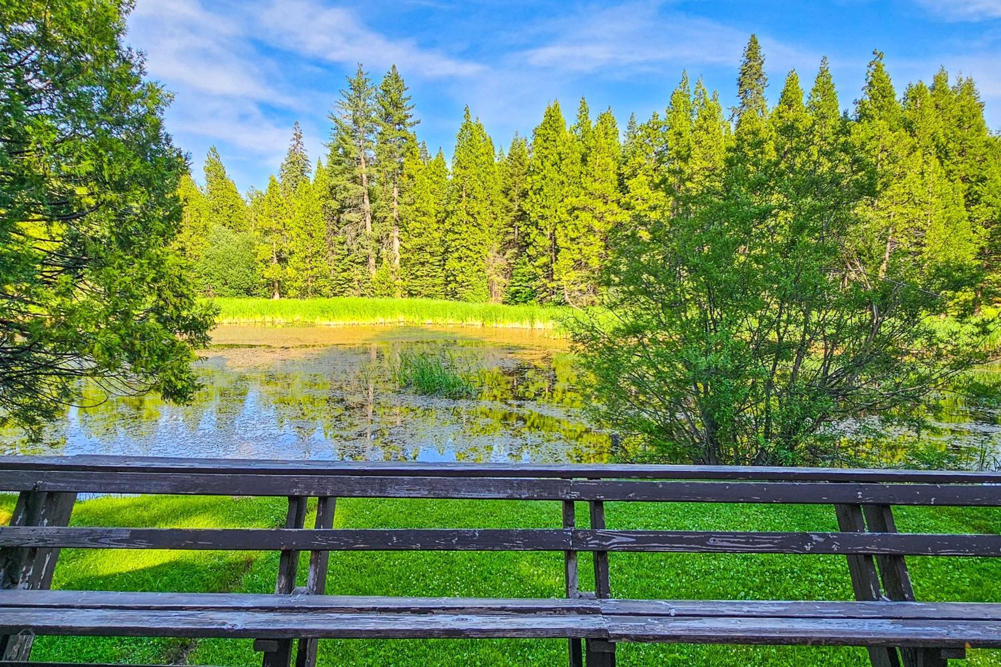 Water'S Edge Retreat Villa Shaver Lake Exterior photo